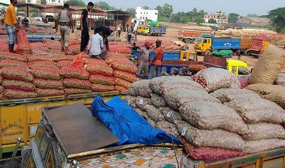 বাড়ছে ভারতের ওপর আমদানি নির্ভরতা