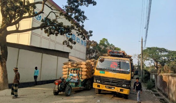 শেরপুরে আলুর বাম্পার ফলন : হিমাগার সংকটে বিপাকে কৃষক