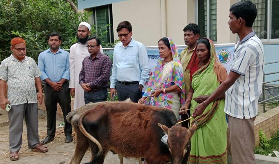 মাধবপুরে ক্ষুদ্র নৃগোষ্ঠীর মধ্যে গরু বিতরণ