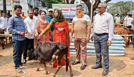 কলমাকান্দায় ক্ষুদ্র নৃ-গোষ্ঠির মাঝে ষাঁড় বাছুর বিতরণ