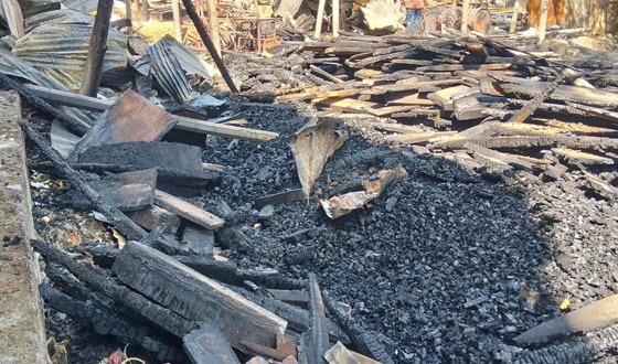 storage/2025/march/19/news/60067daa233246c9.jpg