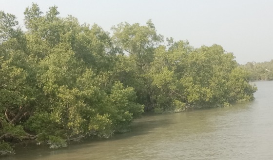 ঈদে বাড়তি সর্তকতা বন কর্মকতা ও কর্মচারীদের ছুটি বাতিল
