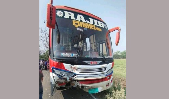 ঈদের বাজার দিতে এসে সড়কে নিহত তিন ভাই