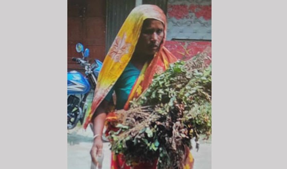 চিলমারীতে সন্ত্রাসীদের হামলায় আহত তিন, ফসল বিনষ্টের অভিযোগ
