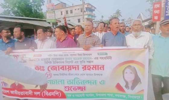 নবাবগঞ্জে ডাঃ জেবায়দা রহমানের দেশে আগমনে উপজেলা বিএনপির শুভেচ্ছা মিছিল