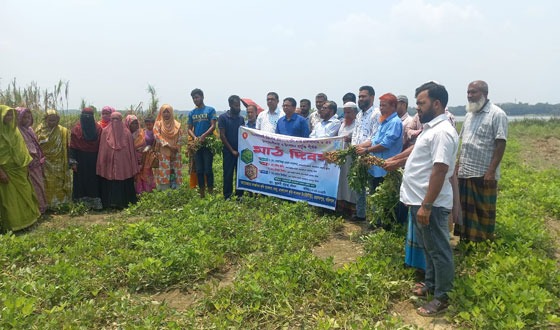 বাবুগঞ্জে আলোচনার কেন্দ্রে বারি চিনাবাদাম ৮