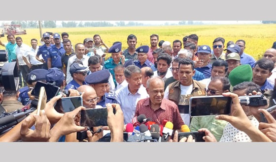 সীমান্ত এলাকায় ধান কাটতে ভীতির কোন কারন নেই কৃষকদের