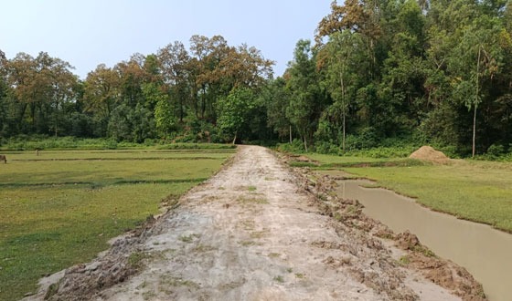 ঝড়ে উপড়ে পড়া গাছ সরিয়ে সচল হচ্ছে পুরোনো পাহাড়ি পথ