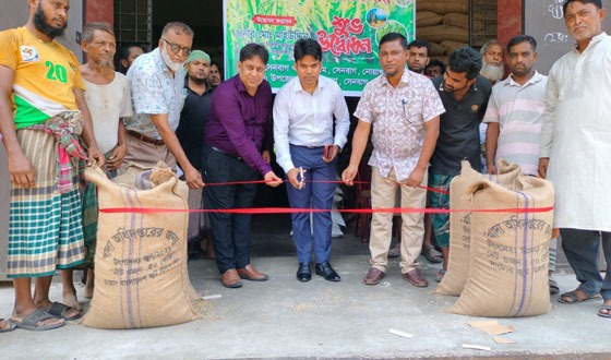 সেনবাগে অভ্যন্তরীন বোরো ধান সংগ্রহ কার্যক্রমের উদ্বোধন