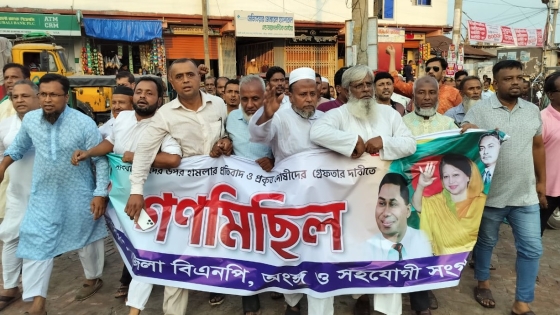 কাপাসিয়ায় সাংবাদিকদের উপর হামলার প্রতিবাদে বিএনপির গণমিছিল