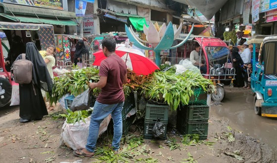 ঈদগাঁও বাজারে নেই কোন নিয়ম-শৃঙ্খলা