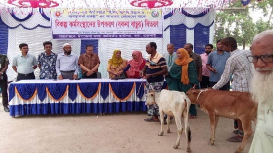 বাঘায় ৩২ জন জেলে পেলেন গরু