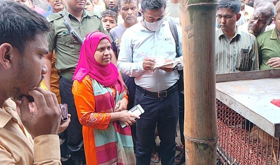 চিরিরবন্দরে পোল্ট্রি দোকানে ভ্রাম্যমাণ আদালতের জরিমানা