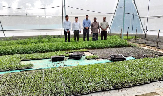 মানসম্পন্ন ফসলের চারা এখন এক ছাদের নীচে