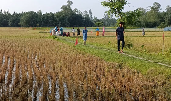 রাজারহাটে আ’লীগ নেতার দখলে থাকা সরকারি সড়ক উদ্ধার