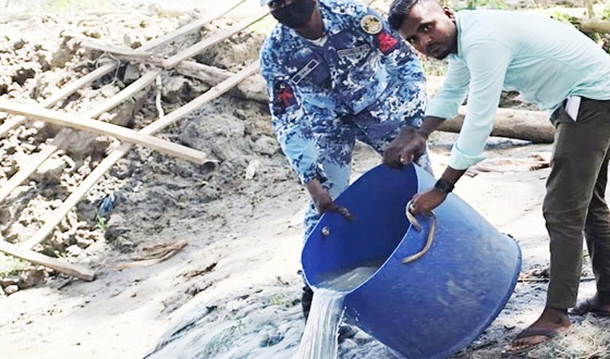মেঘনায় জব্দকৃত গলদা রেণু অবমুক্ত