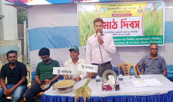 উচ্চফলনশীল নতুন জাতের ধান চাষের উপর মাঠ দিবস