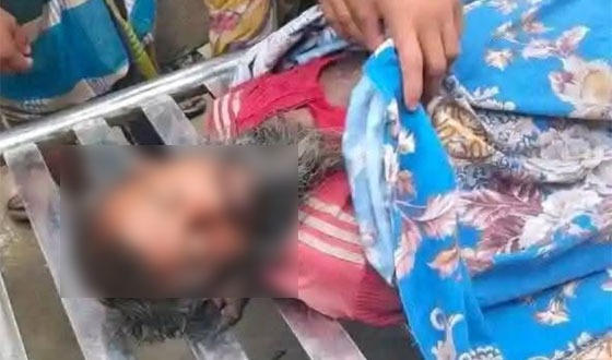 গফরগাঁওয়ে বজ্রপাতে গরুসহ কৃষকের মৃত্যু