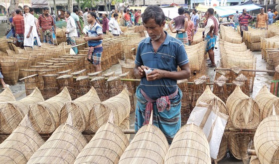 নাজিরপুরে জমে উঠেছে মাছ ধরা যন্তের হাট