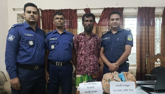 ফুলবাড়ীয়ায় মাদক ব্যবসায়ী গ্রেফতার
