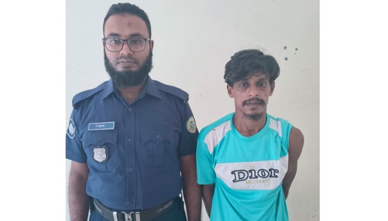 দৌলতখানে একাধিক মামলার আসামি গ্রেফতার