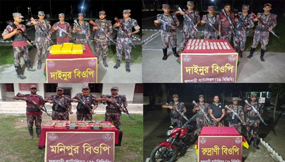 ফুলবাড়ীতে প্রায় সাড়ে ২৭ লাখ টাকার মাদকদ্রব্যসহ চোরাচালানী জব্দ, আটক ১