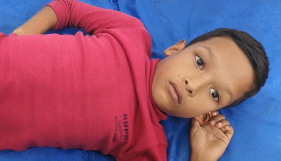 সাপাহারে শিয়ালের কামড়ে আহত ৩