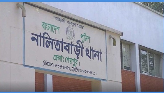 নালিতাবাড়ীতে যুবকের ঝুলন্ত মরদেহ উদ্ধার