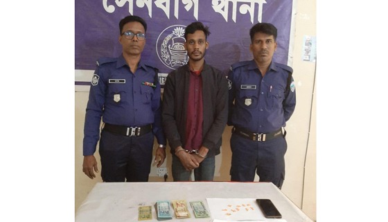 সেনবাগে ইয়াবাসহ মাদক কারবারি গ্রেফতার