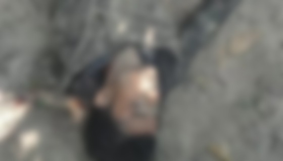 কুমিল্লায় ছিনতাইকারী সন্দেহে গণপিটুনিতে যুবককে হত্যা, আটক ৩