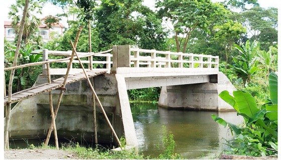 ২৭ লাখ টাকার সেতুতে উঠতে হয় মই দিয়ে