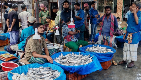 মা ইলিশ সংরক্ষণে নিষেধাজ্ঞায় বাজারে ভীড়