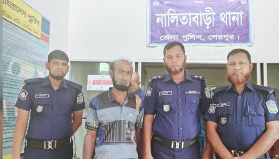 ভাতিজার বউকে ধর্ষণের অভিযোগে প্রতিবেশী চাচা শ্বশুর গ্রেপ্তার
