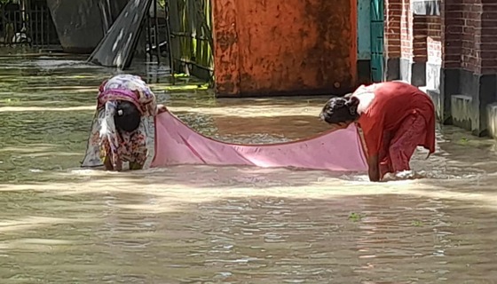 তিস্তার ভয়াল থাবা, পানিবন্দি লাখো মানুষের আর্তনাদ