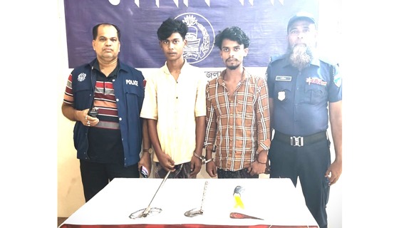 সেনবাগে অস্ত্রসহ ২ কিশোর গ্যাং সদস্য গ্রেফতার