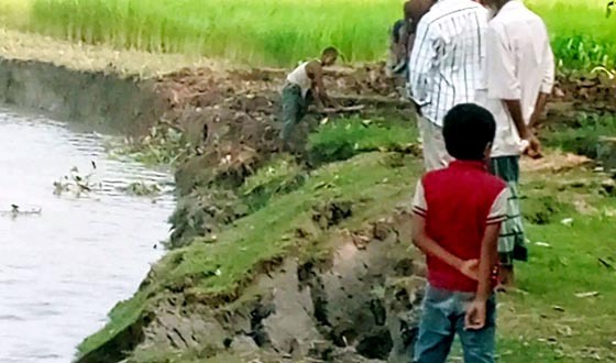 রাজাপুরের বিষখালীতে বাটির টানে হঠাৎ ভাঙন, বিলীন হচ্ছে মানকি-সুন্দর ও বাদুরতলা গ্রাম