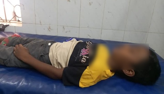 কলমাকান্দায় বিষাক্ত সাপের কামড়ে শিশুর মৃত্যু