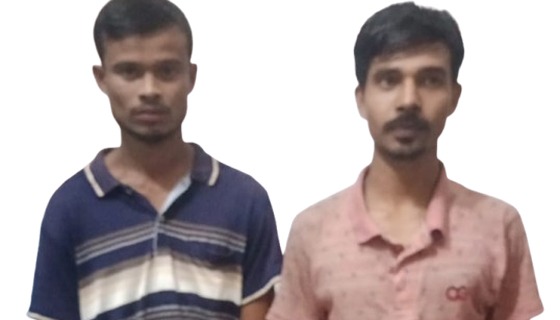 কাউখালীতে মা ইলিশ শিকারের দায়ে ২ জেলের কারাদণ্ড