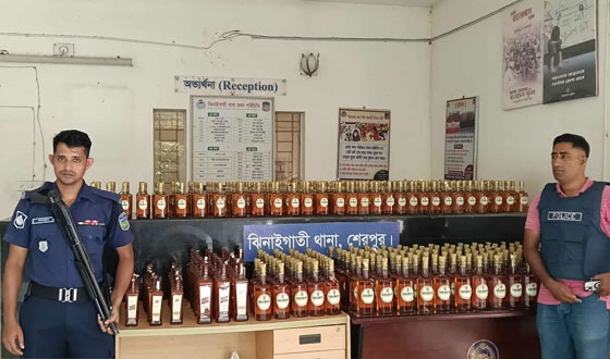 ঝিনাইগাতী থেকে ৩৮০ বোতল ভারতীয় মদ জব্দ