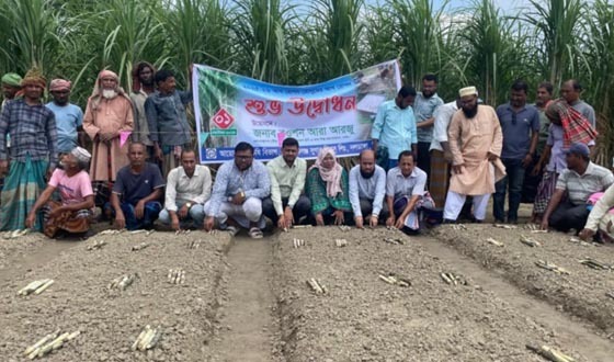 মোবারকগঞ্জ চিনিকলে আখরোপন মৌসুমের উদ্বোধন