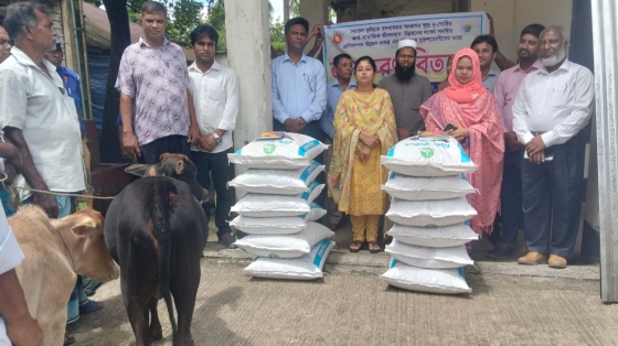 কাপাসিয়ায় প্রাণিসম্পদ কার্যালয়ের উদ্যোগে ক্ষুদ্র নৃগোষ্ঠীর মাঝে গরু বিতরণ