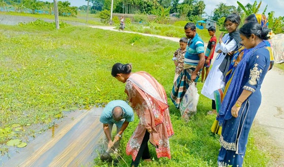 সড়কের পাশে তালবীজ রোপণ