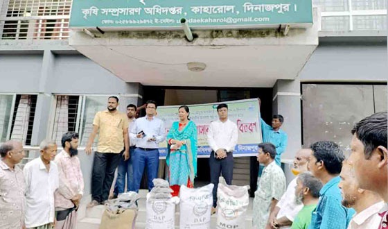 কাহারোলে কৃষকদের মাঝে বিনামূল্যে মাসকালাইয়ের বীজ ও সার বিতরণ