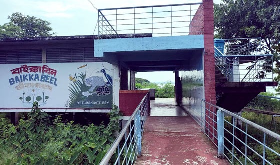 বাইক্কা বিল: জীববৈচিত্র্যের অমুল্য ভান্ডার