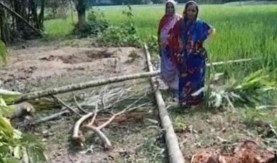 লালমনিরহাটে গাছের চাপায় এক ব্যক্তির মৃত্যু
