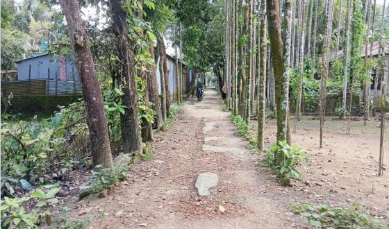 ঝিনাইগাতীতে ১২ বছর ধরে সংস্কারহীন সড়কে ভোগান্তি