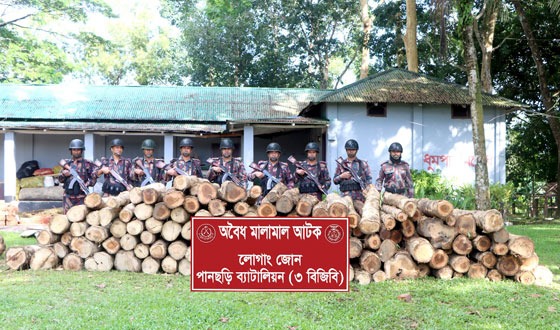 পানছড়ির উল্টাছড়িতে অবৈধ কাঠ জব্দ
