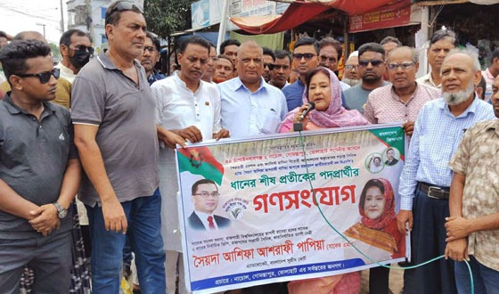 নাচোলে সৈয়দা আশিফা আশরাফী পাপিয়ার গণসংযোগ