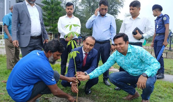 সবুজ ছাতিম রোপণের মধ্যে পটুয়াখালীর নতুন ডিসির যাত্রা