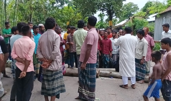 ভূরুঙ্গামারীতে সারের দাবিতে রাস্তা অবরোধ করে কৃষকের  বিক্ষোভ